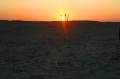 tunisia, atlas, roman, camels-27
